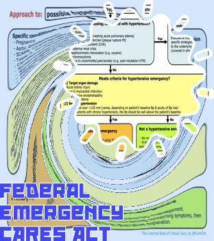 Cares emergency grant application