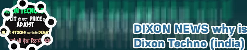 Dixon share price