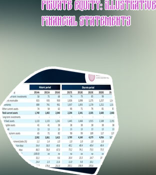 Equity investment in balance sheet