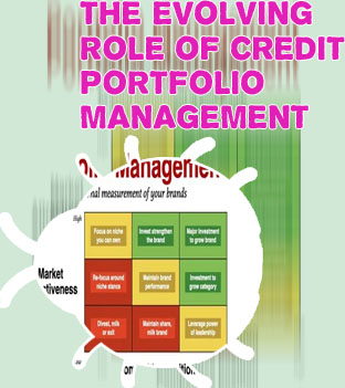 Institutional portfolio manager
