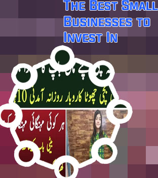 Low investment high earning business
