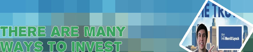 Merrill lynch investment management