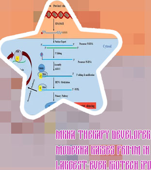 Mrna companies to invest in