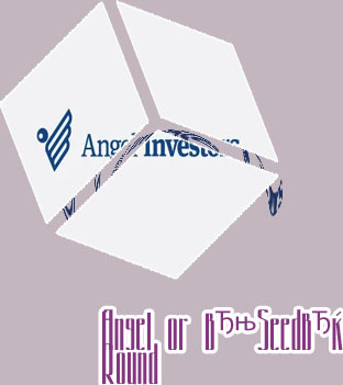 Seed angel investors
