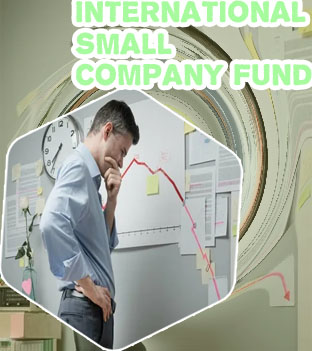 Small company investor