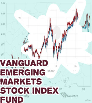 Vanguard emerging markets stock index fund institutional shares